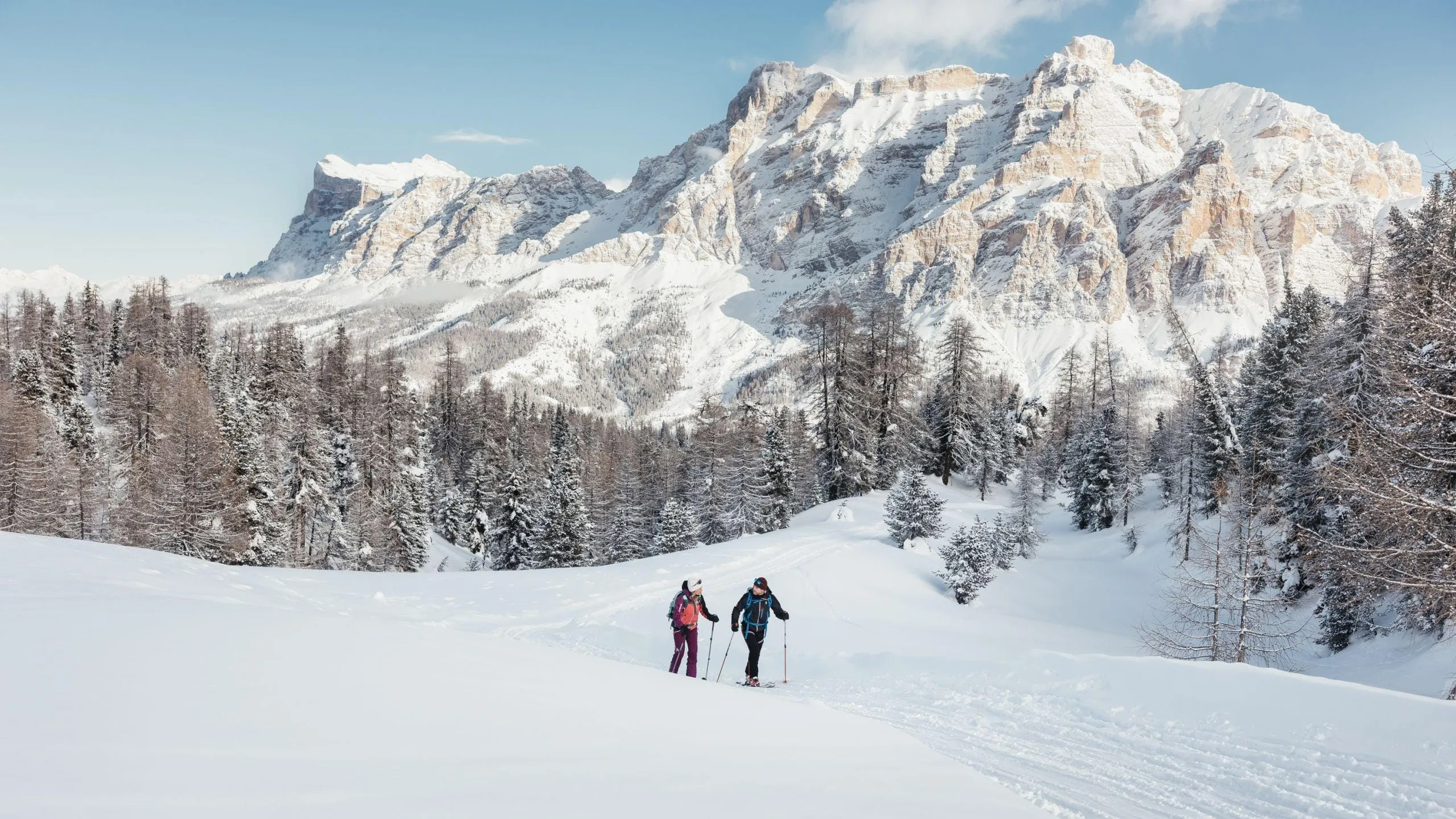 Two people ski mountaineering through a snowy landscape on the Störes meadows in Alta Badia, surrounded by tall, snow-covered trees and the majestic mountains of the Dolomites in the background.